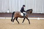 Class 15-16-18 - Novice 3-Elementary 1-PYO portfolio