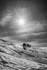 IMR_2603 v2 bw