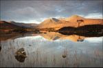 Morning Over Rannoch Moor