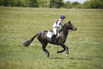 BVHT 140517  IXC -597