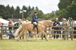 SBM_15926
