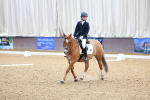 SBM_007206