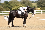 SBM_009058