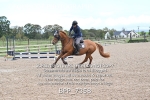 BPP_7358