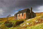 The Old House