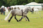 SBM_00468