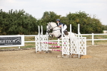 SBM_001998