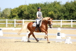 SBM_009801