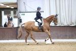 SBM_004347