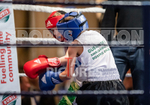 Sparring Bout-1_Arnie Watson v Rio Gaudion-19