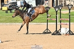Cls 6 Foxhunter and 1.20m portfolio