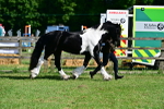 SBM_10089