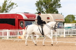 SBM_15881