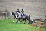 WJ5_6384