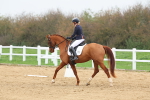 SBM_006601