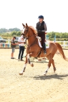 SBM_006662