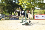 SBM_17760