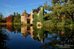 Medieval Ruin