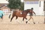 SBM_02064