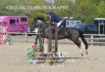 BPP_3344
