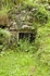 St Gennys Well, Cornwall