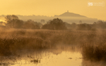 Morning mist, Glastonbury Tor