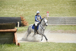 BVHT 140517  IXC -526
