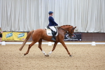 SBM_000849