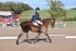 BPP_8129