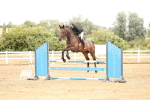 SBM_023638
