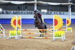 SBM_001353