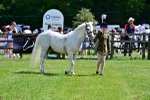 SBM_07825