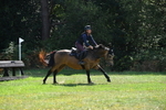 WJ5_2347