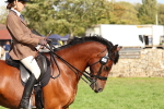 SBM_47843