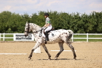 SBM_002046