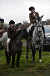 Berks & Bucks Hamilton Stables – Compton 29-12-24 portfolio