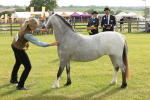 SBM_00421