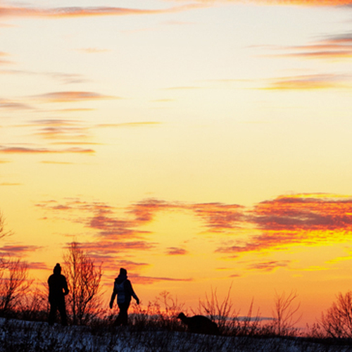 Sunset seekers enjoy the remains of the day along Spyglass Hill @ Rothesay, NB