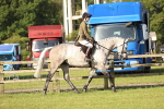 SBM_10640