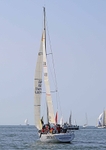 140621 ANTICIPATION GBR7041R S27A0467