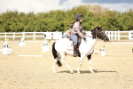 SBM_011506