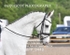 BPP_9448