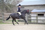SBM_004708