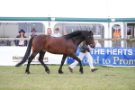 SBM_09770