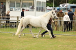SBM_04165