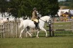 SBM_10243