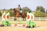 SBM_03818