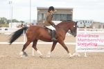 SBM_18157