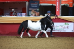 SBM_14685