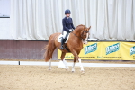 SBM_001955
